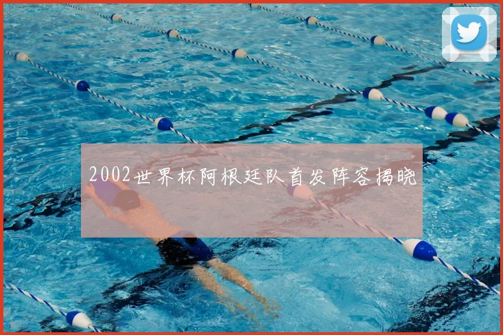 2002世界杯阿根廷队首发阵容揭晓