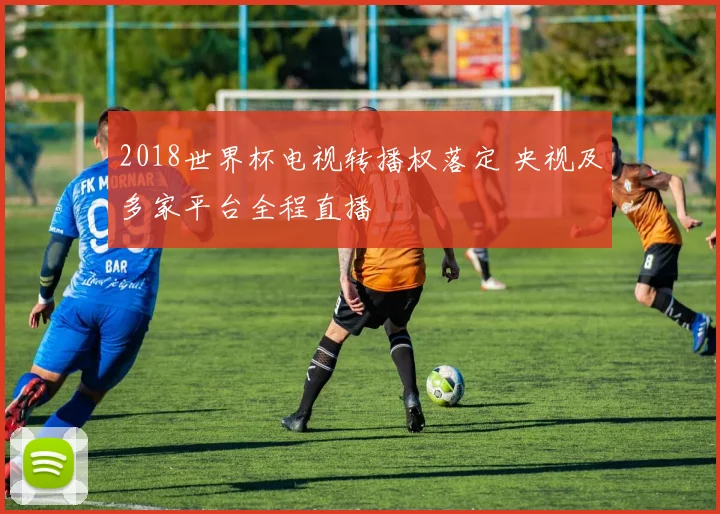 2018世界杯电视转播权落定 央视及多家平台全程直播