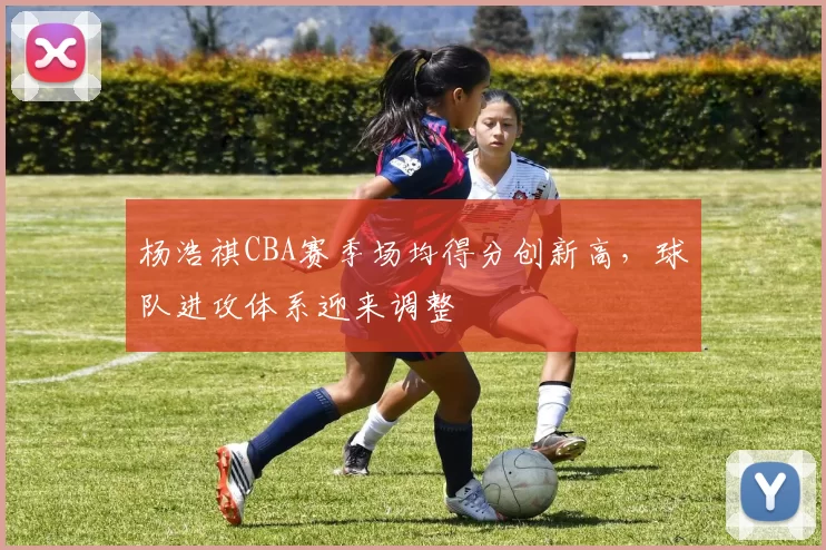 杨浩祺CBA赛季场均得分创新高,球队进攻体系迎来调整