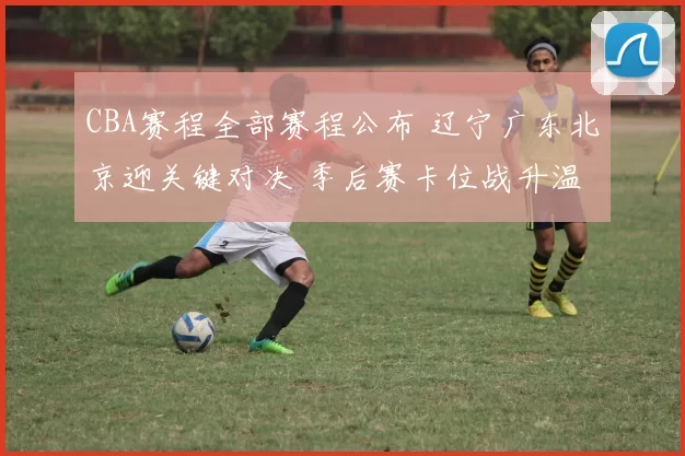 CBA赛程全部赛程公布 辽宁广东北京迎关键对决 季后赛卡位战升温