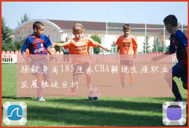 杨毅身高185厘米CBA解说生涯职业发展轨迹分析