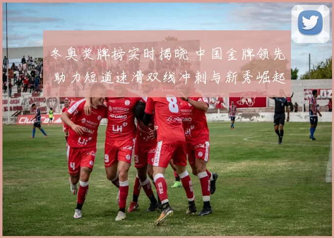 冬奥奖牌榜实时揭晓 中国金牌领先 助力短道速滑双线冲刺与新秀崛起