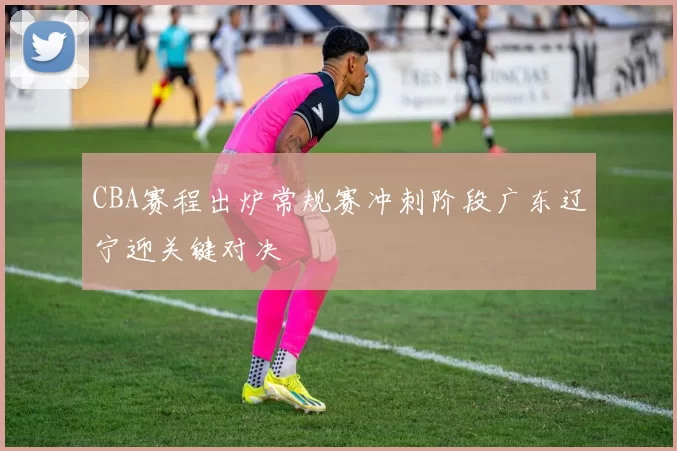 CBA赛程出炉常规赛冲刺阶段广东辽宁迎关键对决