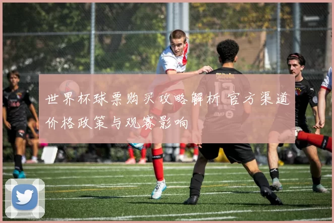 世界杯球票购买攻略解析 官方渠道价格政策与观赛影响