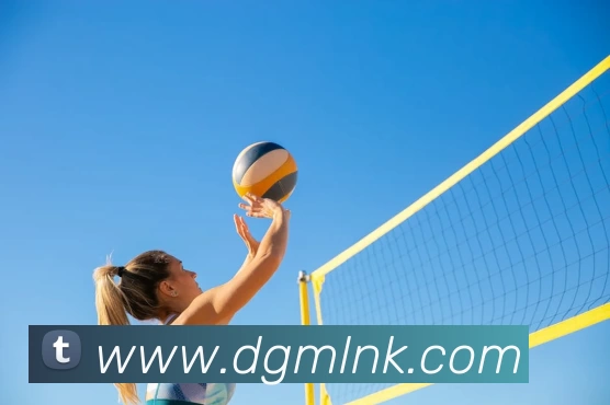 星空官网网页版APP 封面图